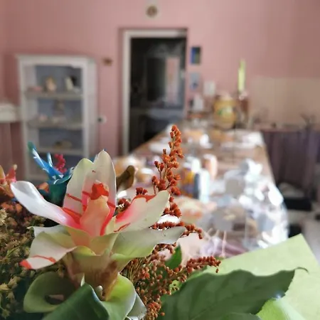 Bed & Breakfast Shabby Charme Boutique